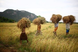 Visiter pays Laos sur Net