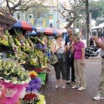 Les kiosques de fleurs ou Quan Hoa