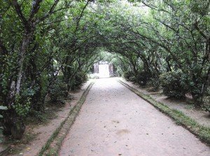 Le chemin menant à la maison-jardin An Hiên.