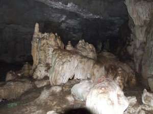 La grotte des chauves-souris 