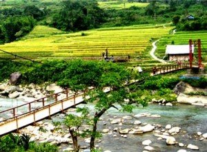 Valle de Muong Hoa Sapa