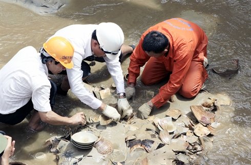 Une deuxième épave découverte à Quang Ngai