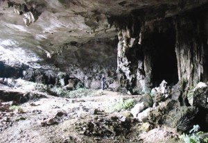 la-grotte-tien-ong-figure-parmi-les-plus-remarquables-vestiges-archeologiques-de-la-baie-de-ha-long-photo-netcvn-239006-3401a093537735