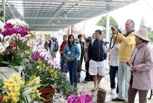 paradis des fleurs de la ville de Dà Lat, le tourisme de la province de Lâm Dông 