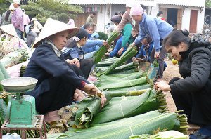 La foire du Têt à la campagne vietnamien