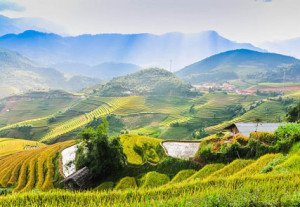 Montagne Vietnam