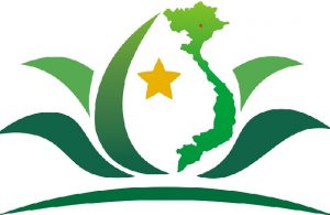 Agence de voyage francophone Vietnam Dragon Travel Logo
