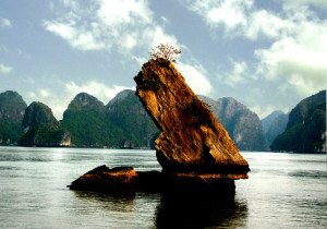 Croisiere Halong