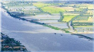 Sur l’îlot de Tân Lôc subsistent une dizaine de maisons anciennes au style original.