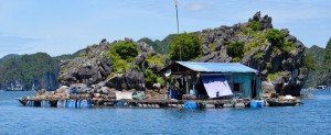 Une maison flottant de pUne maison flottant de pêcheurs à Cat Baêcheurs à Cat Ba