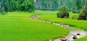 Balade en barque Tam Coc Trang An