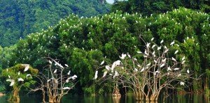 Parc Thung Nham Ninh Binh