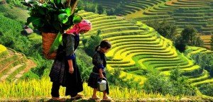 Sapa et ses habitants