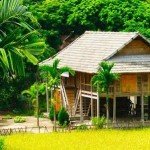 Maison sur pilotis des Thai dans la vallée de Mai Chau