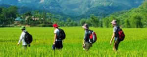 Guide francophone au Vietnam pour Randonnée et Trekking