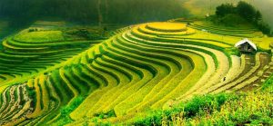 Guide francaophone local randonnée trekking Sapa