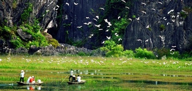 Reserve Van Long Ninh Binh - Meilleurs sites de Ninh Binh Baie Halong terrestre