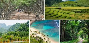 TOP 5 BELLES RÉSERVES NATURELLES AU VIETNAM