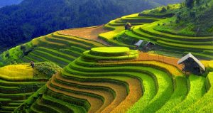 Sapa et decouverte des villages ethniques