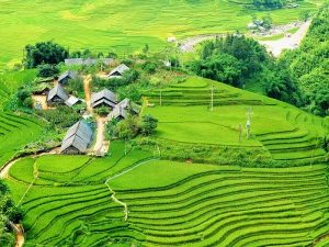 Sapa Vietnam