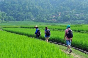 trekking au Vietnam
