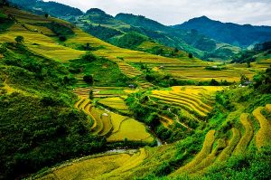 trekking au Vietnam