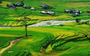 la pan tan vietnam