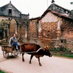 visiter le village de Duong Lam