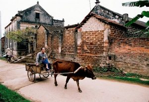 visiter le village de Duong Lam
