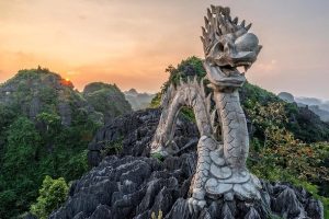 hangmua vietnam