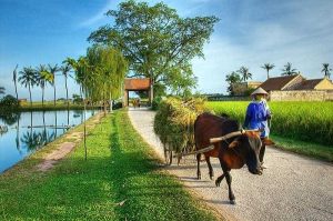 Ancien village Hanoi
