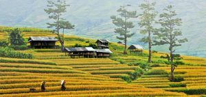 Relier Hanoi a Mu Cang Chai