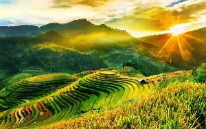 Voyage Vietnam 10 jours