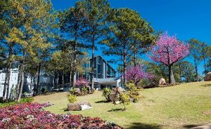 Circuit visite hauts-plateaux Vietnam