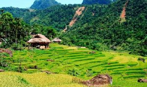 Trek Mai Chau Pu Luong