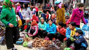 Visite marché Bao Lac