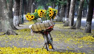 Circuit Hanoi et ses alentours