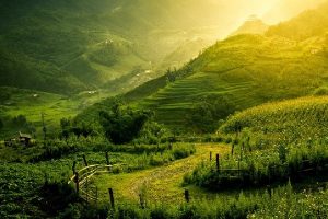 Voyage à Sapa