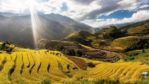 Voyage nord ouest Vietnam