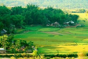 Visiter Muong Lo