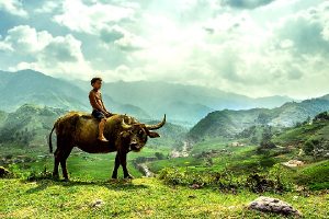 Découvrir Sapa