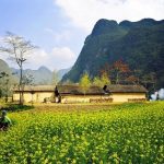 Voyage Ha Giang en quatre saisons