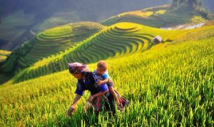 Voyage Mu Cang Chai