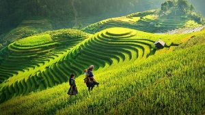 Randonnée Sapa
