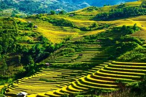 Visiter Tu Le Mu Cang Chai