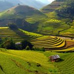 Découvrir Mu Cang Chai à Yen Bai