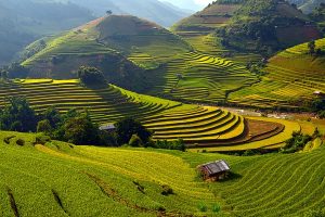 Découvrir Mu Cang Chai à Yen Bai