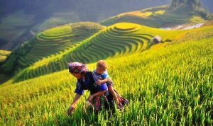 Voyage Muong Lo à Yen Bai