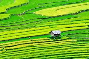 Quand partir à Sapa