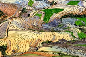 Visiter Tu Le Mu Cang Chai